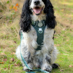 Lead - Walkies Ready® Forest Green