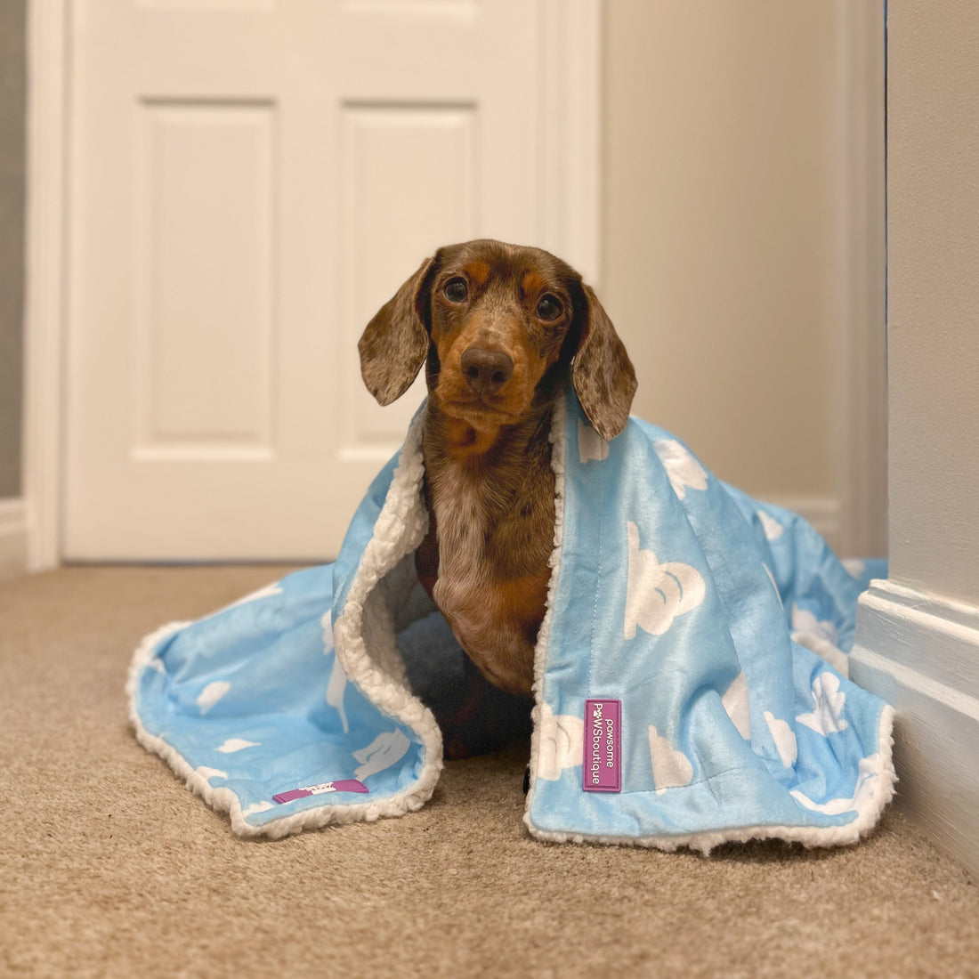 Disney© Dog Blanket - Buzz Lightyear
