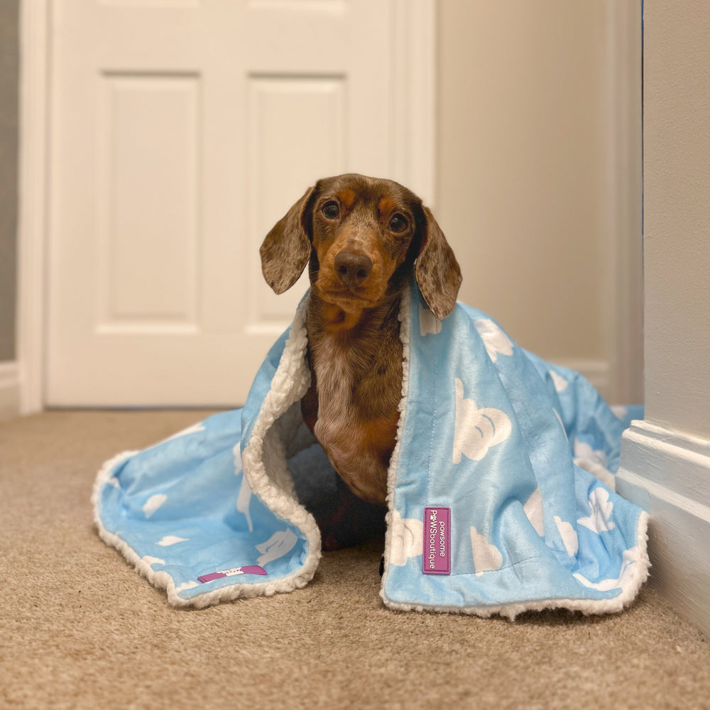 Disney© Dog Blanket - Buzz Lightyear