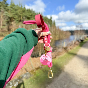 Pawsome Poop Pocket - Walkies Ready®- Raspberry Pink