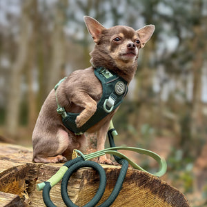 4ft Rope Lead - Walkies Ready® Forest Green