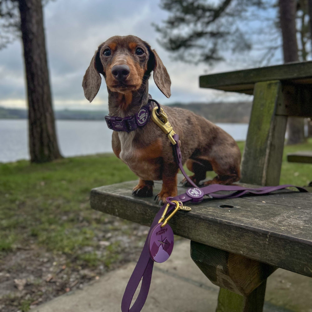 Pawsome Poop Pocket - Walkies Ready® - Plum
