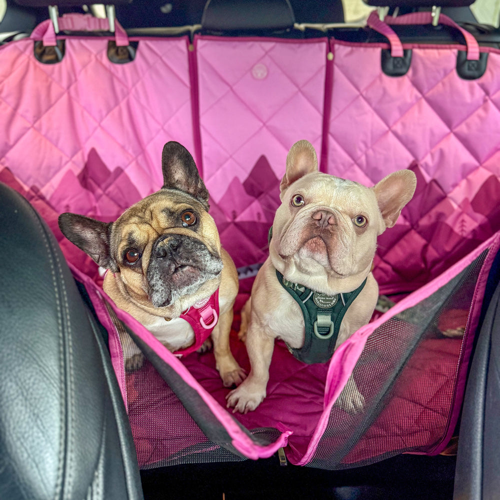 Car Seat Cover - Walkies Ready® Raspberry Pink