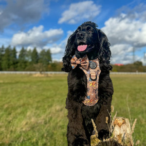 Disney© Bow Tie - Disney Dogs