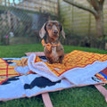 Disney© Dog Blanket - Woody