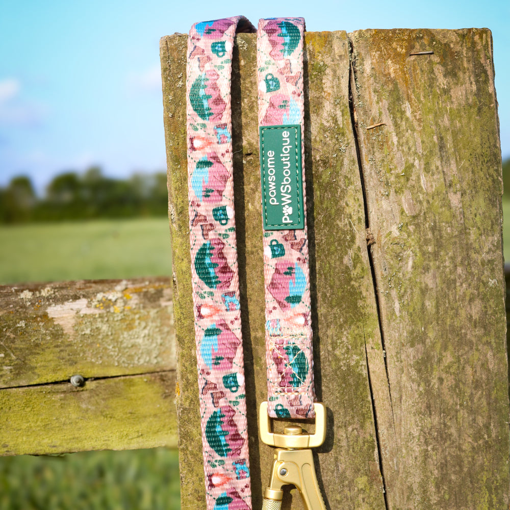 Lead - Adventure Awaits