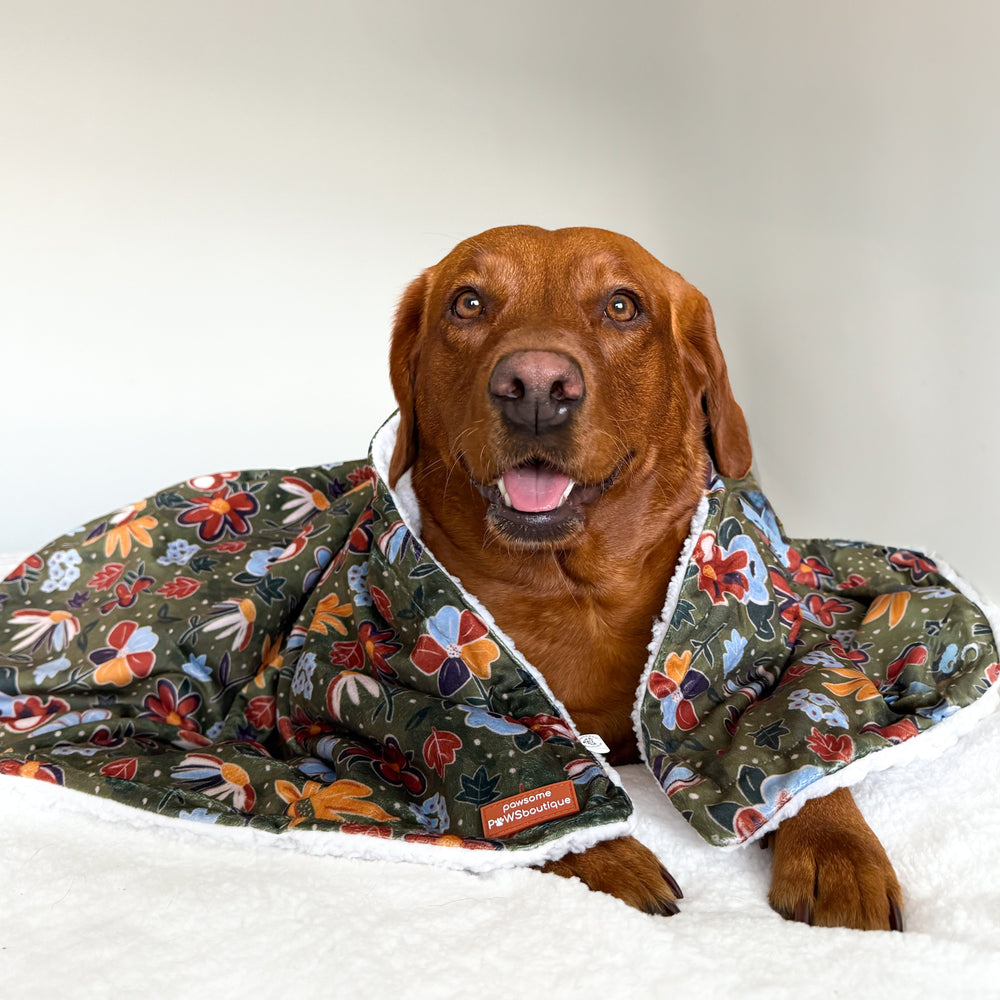 Dog Blanket - Rust & Bloom