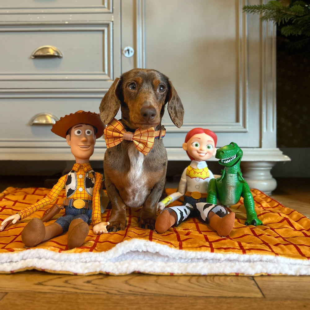 Disney© Dog Blanket - Woody