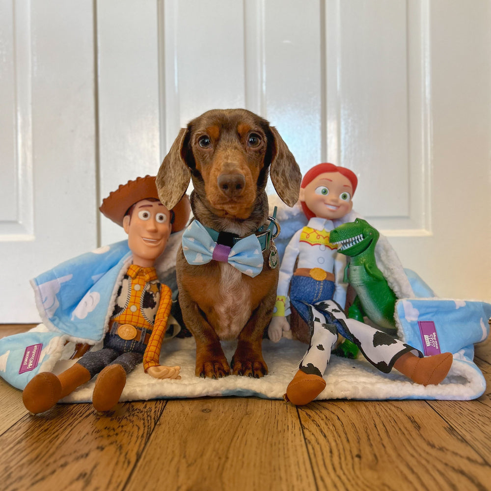 Disney© Bow Tie - Buzz Lightyear