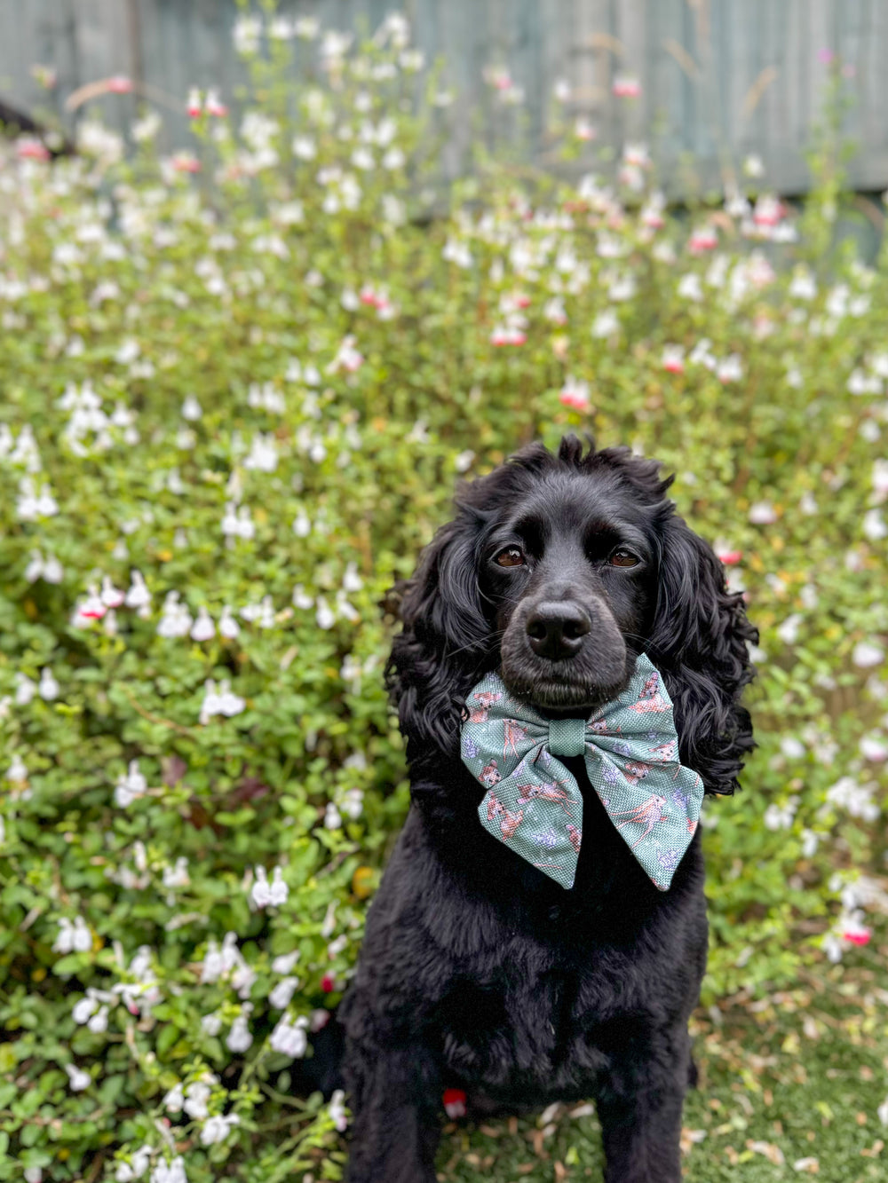 Disney© Sailor Bow Tie - Bambi + Thumper