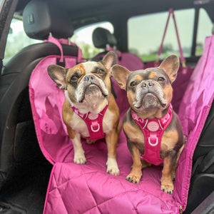 Car Seat Cover - Walkies Ready® Raspberry Pink