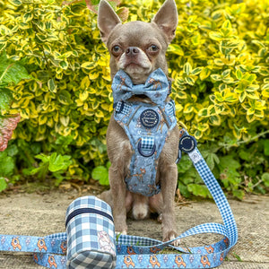 Disney© Lead - Bambi + Friends Blue