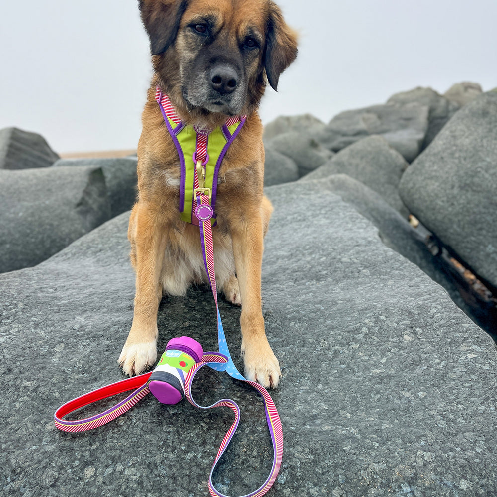 Disney© Lead - Buzz Lightyear