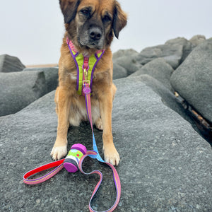 Disney© Lead - Buzz Lightyear