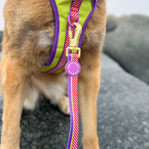 Disney© Lead - Buzz Lightyear