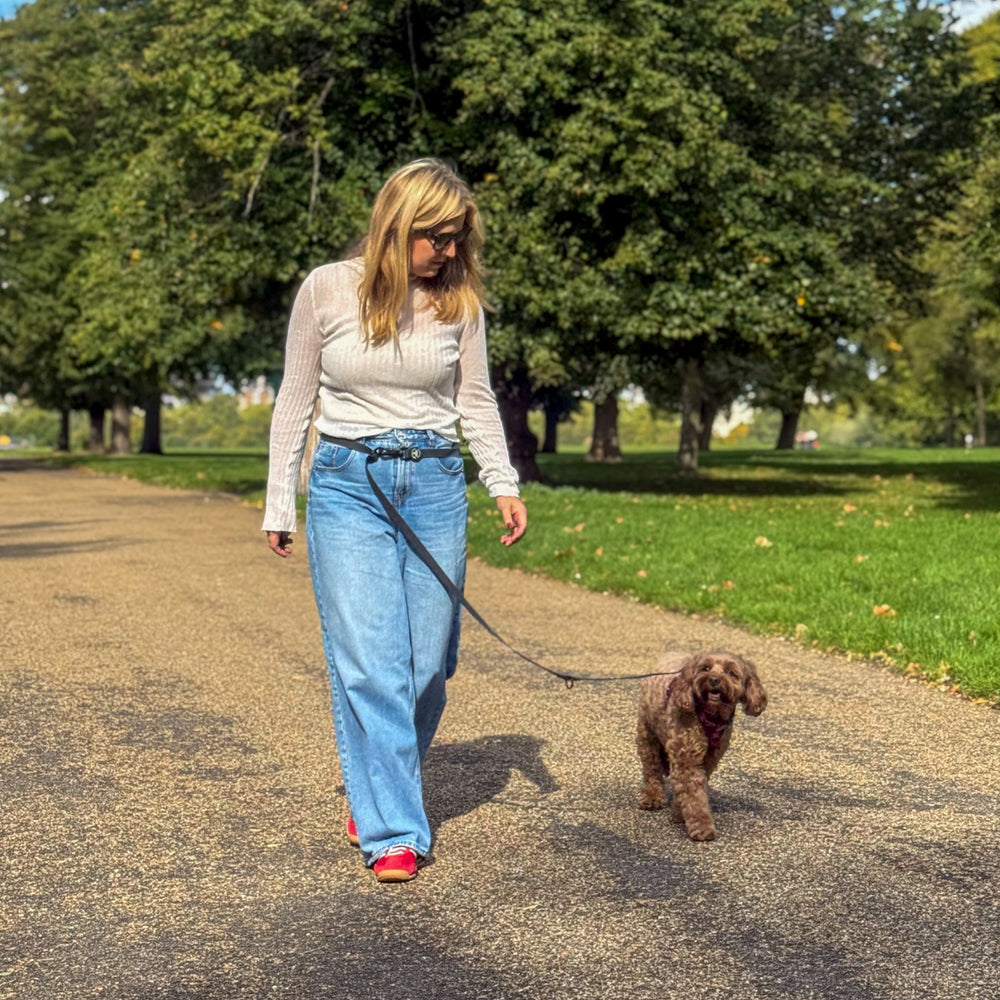 Double Ended Lead - Walkies Ready® Black