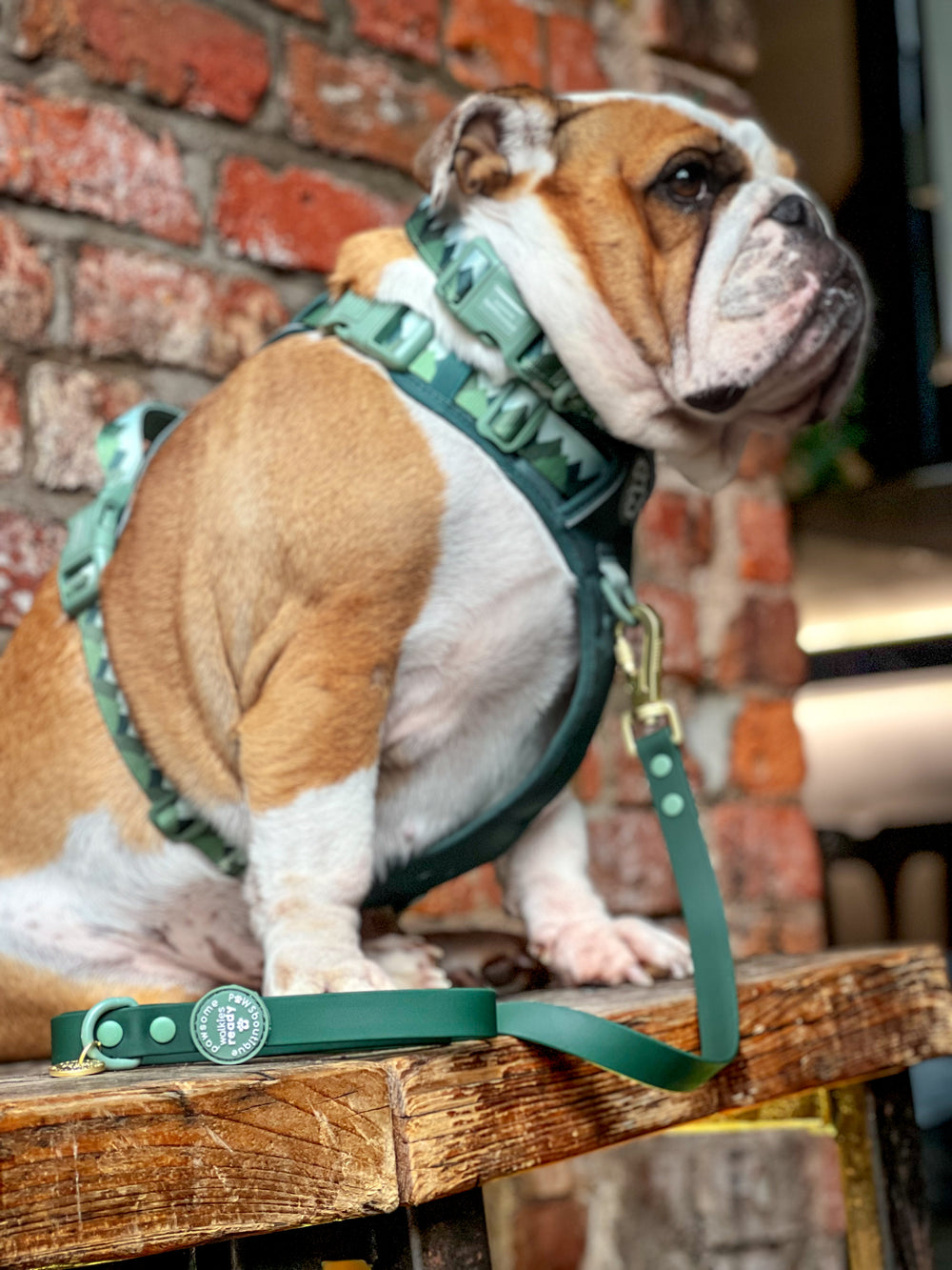 4ft Waterproof Lead - Walkies Ready® Forest Green