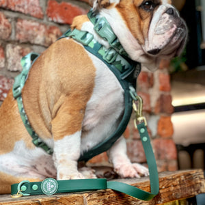 4ft Waterproof Lead - Walkies Ready® Forest Green