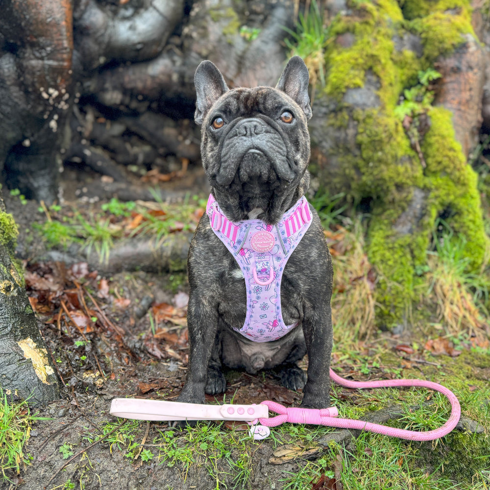 Disney© 4ft Rope Lead - Piglet - Pink