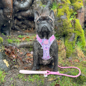 Disney© 4ft Rope Lead - Piglet - Pink