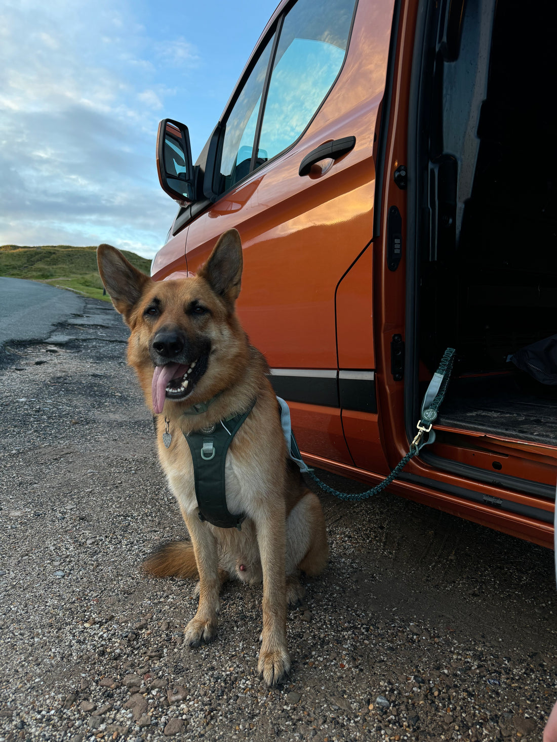 Handsfree Lead - Walkies Ready® Forest Green