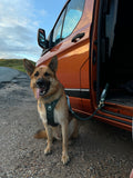 Handsfree Lead - Walkies Ready® Forest Green