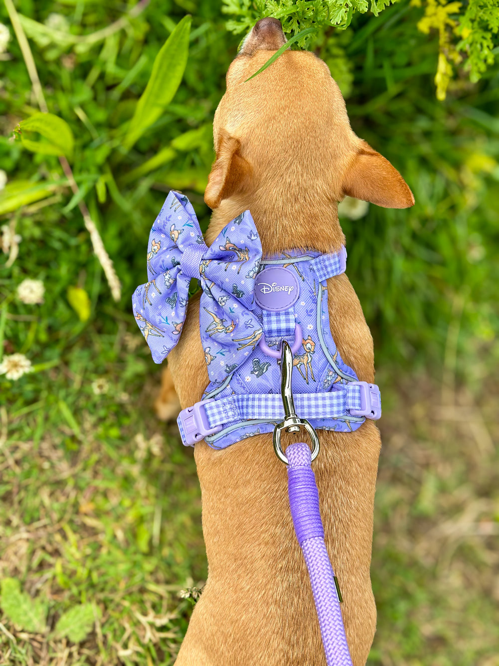 Disney© Sailor Bow Tie - Bambi + Friends Lilac