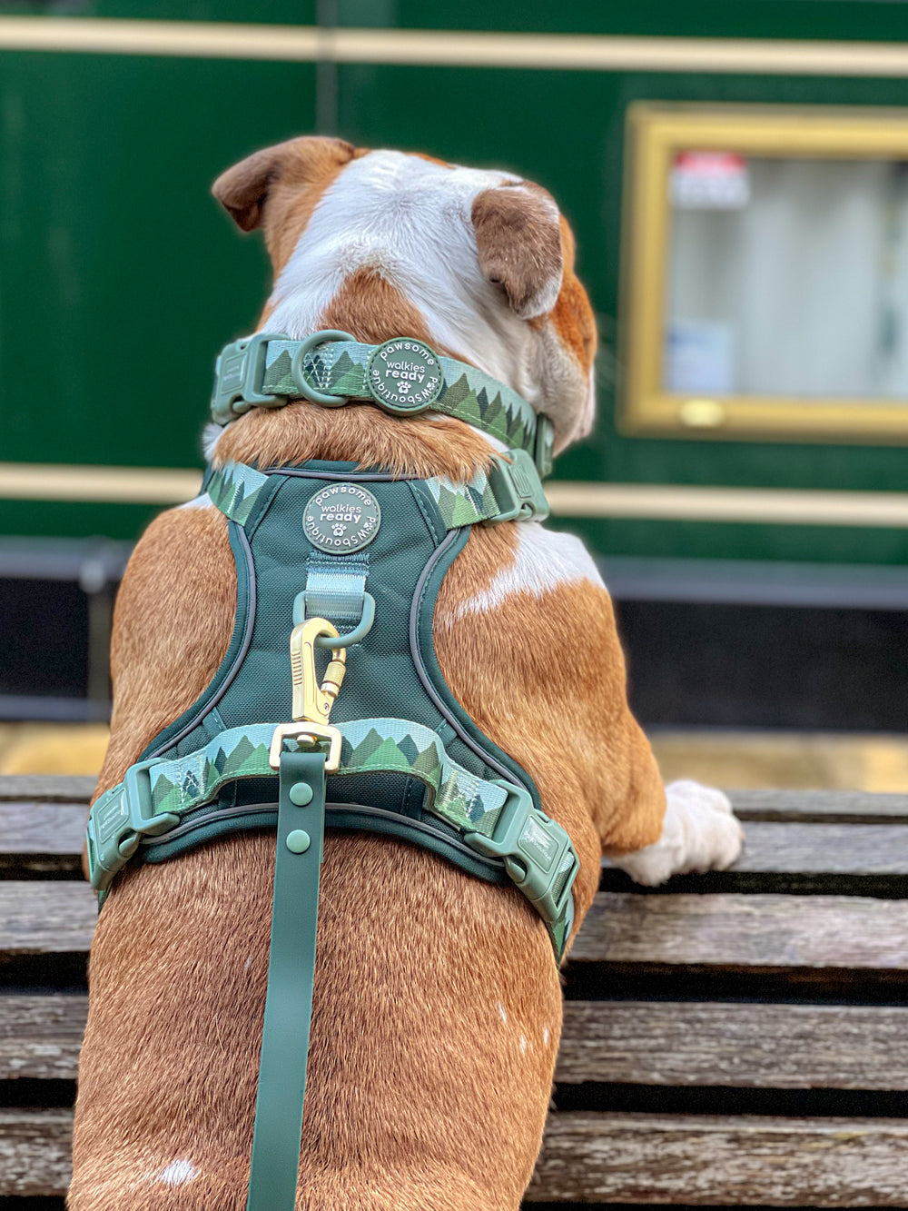 4ft Waterproof Lead - Walkies Ready® Forest Green