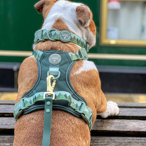 4ft Waterproof Lead - Walkies Ready® Forest Green