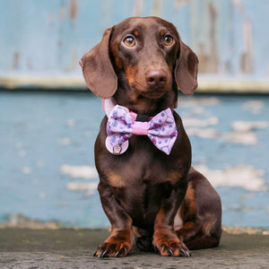 Disney© Bow Tie - Piglet