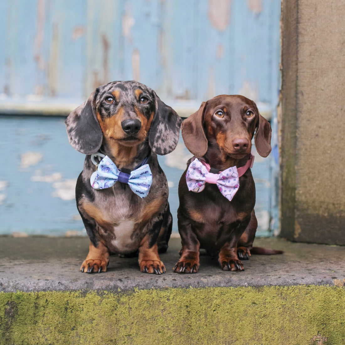 Disney© Bow Tie - Eeyore