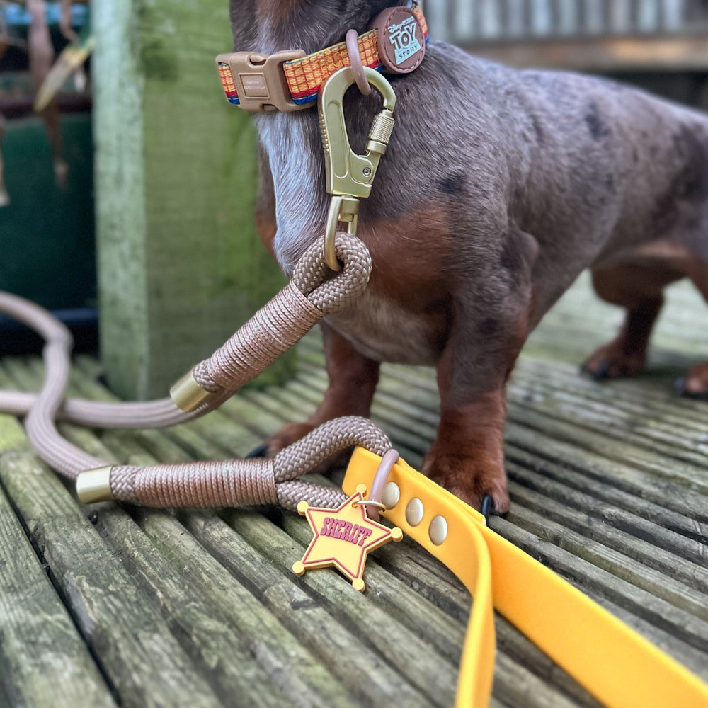 Disney© 4ft Rope Lead - Woody