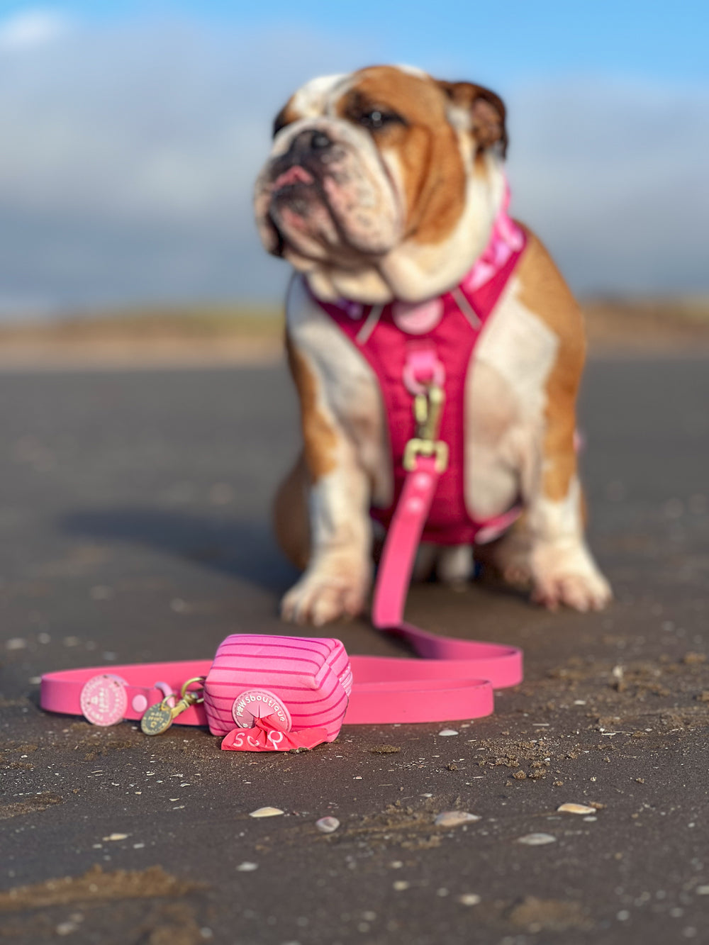 4ft Waterproof Lead - Walkies Ready® Raspberry Pink