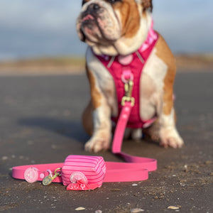 4ft Waterproof Lead - Walkies Ready® Raspberry Pink