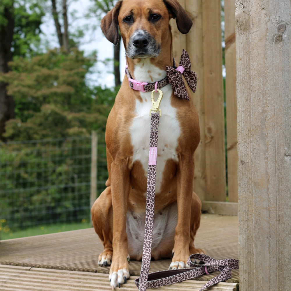 Lead - Leopard Print