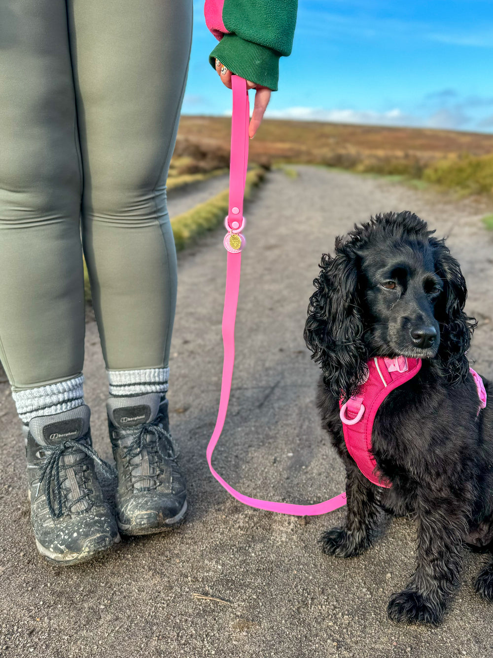 4ft Waterproof Lead - Walkies Ready® Raspberry Pink