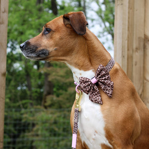 Sailor Bow - Leopard Print