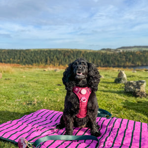 Travel Mat - Walkies Ready®