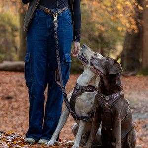 Handsfree Lead - Walkies Ready® Chocolate Brown