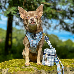 Disney© Treat Pouch - Bambi + Friends Blue