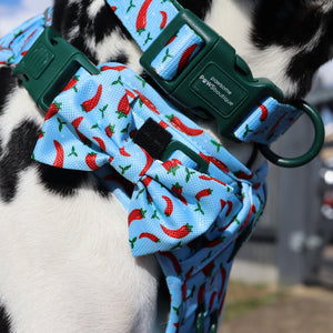 Bow Tie - Stay Spicy