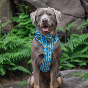 Disney© Tough Trails™ Harness - Simba