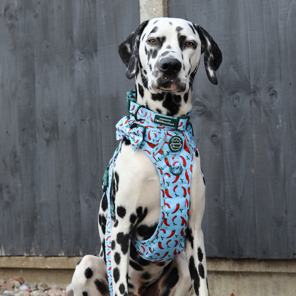 Bow Tie - Stay Spicy