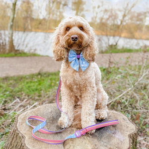 Disney© Sailor Bow - Buzz Lightyear