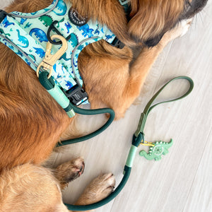 Pawsome Poop Pocket - Dinky Dino