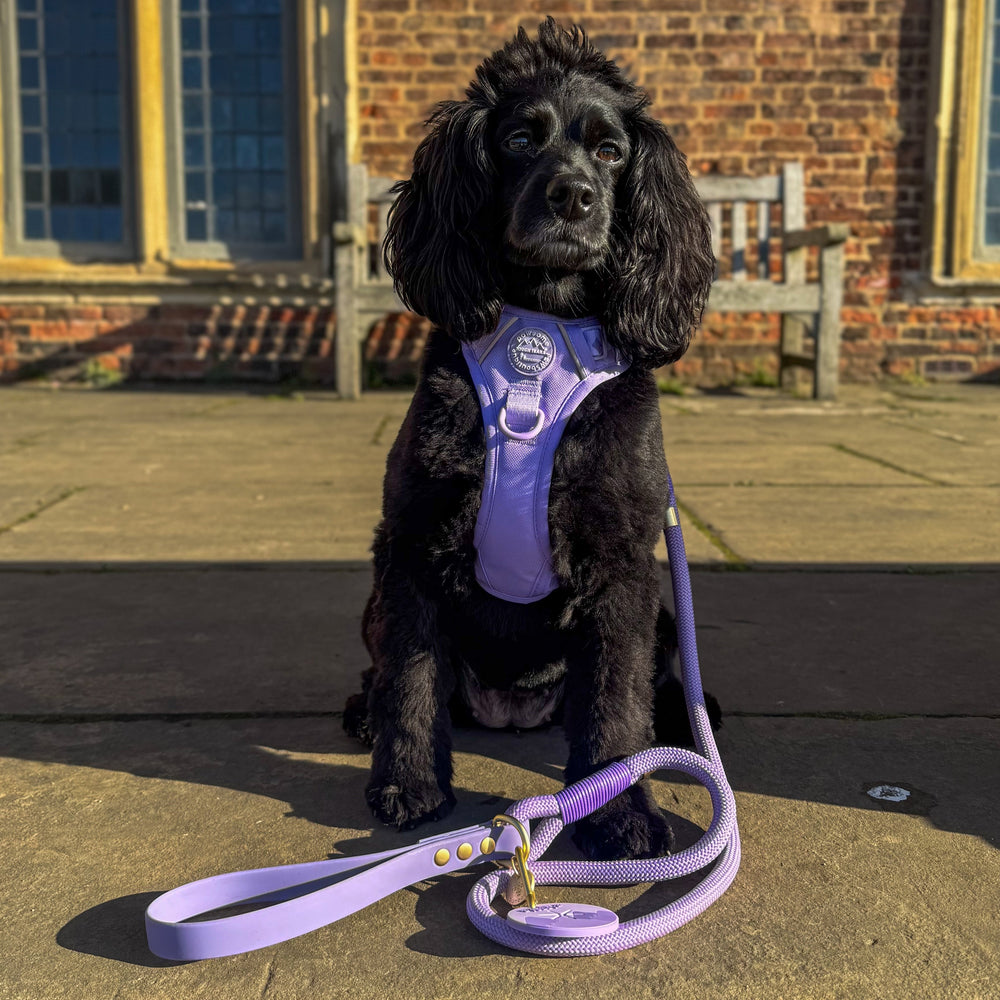 4ft Rope Lead - Walkies Ready® Lavender Lilac