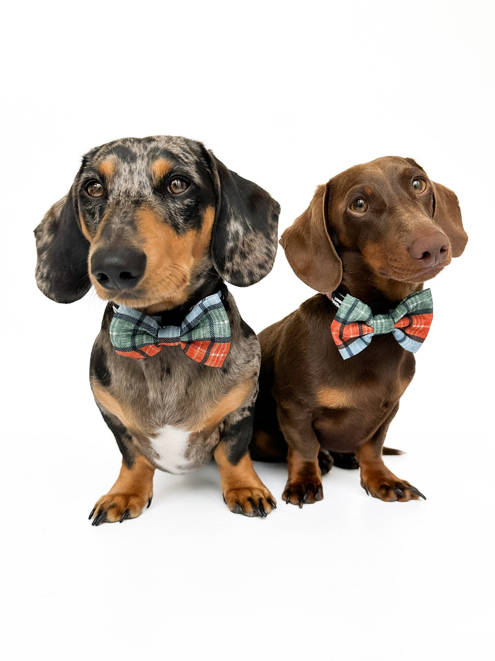 Bow Tie - Harvest Plaid