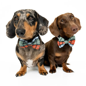 Bow Tie - Harvest Plaid