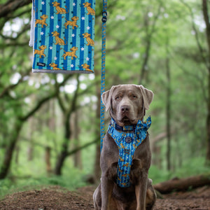 Disney© Dog Blanket - Simba