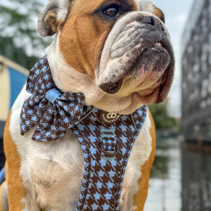 Sailor Bow - Horizon Houndstooth